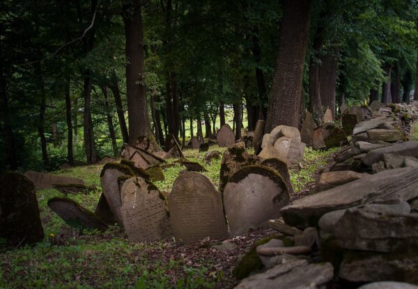 Jewish Cemetery by Daniel Żołopa
